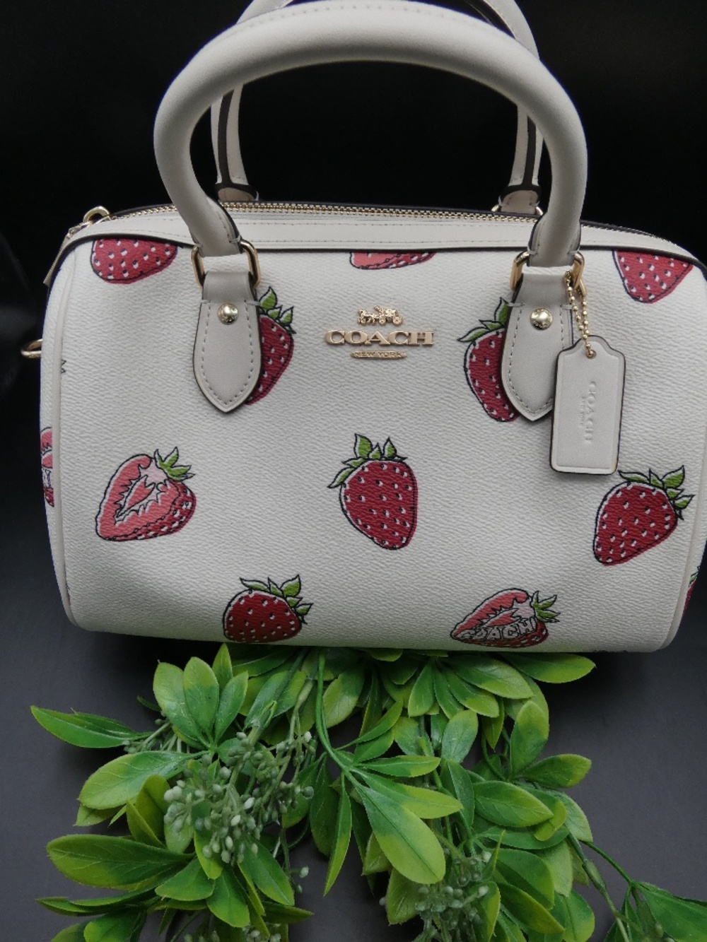 Coach Signature Rowan in Strawberry Print